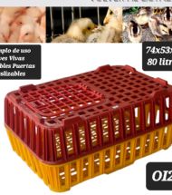 Ver articulo