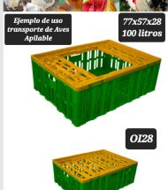 Ver articulo